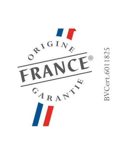 Plaque induction DE DIETRICH DPI7884XT avec une sonde