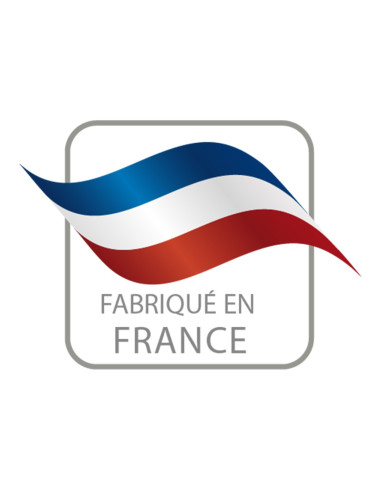 Moteur ROBLIN CONFORT E+ 6301028