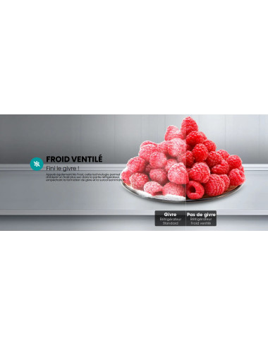 Congélateur HISENSE FV245N4AW2