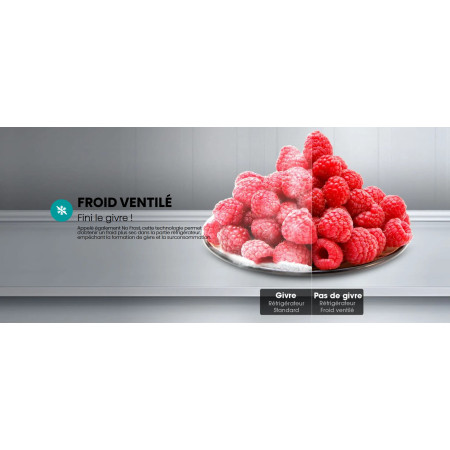 Congélateur HISENSE FV245N4AW2