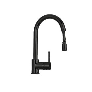 Mitigeur ARGO VICTANRIANR1 col de cygne avec douchette