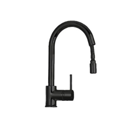 Mitigeur ARGO VICTANRIANR1 à col de cygne avec douchette